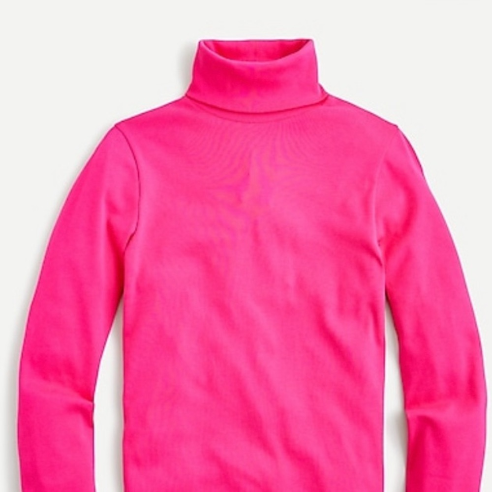 NWT J. Crew Turtleneck
